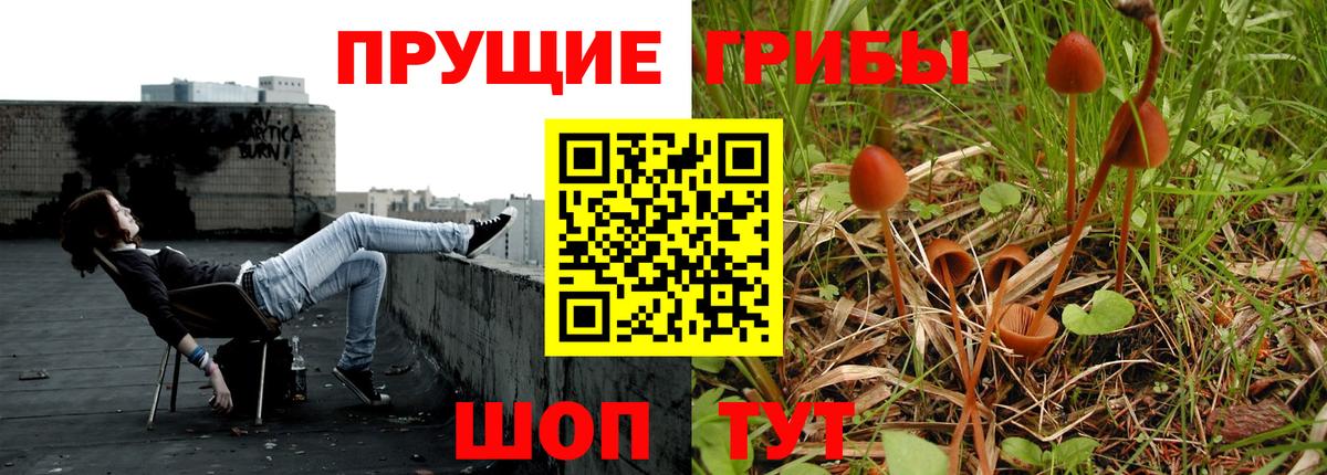 Славянск-на-Кубани  Галлюциногенные грибы Psilocybe  Вход с VPN 
