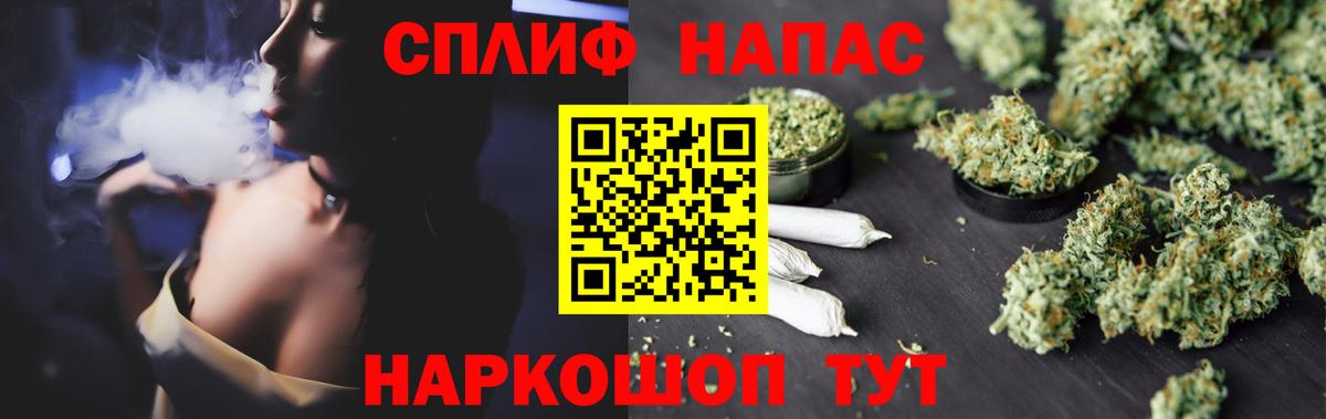Каннабис сатива Славянск-на-Кубани